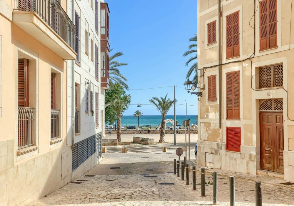 WhatsApp Image 2025-10-08 at 10.45.13 (6)