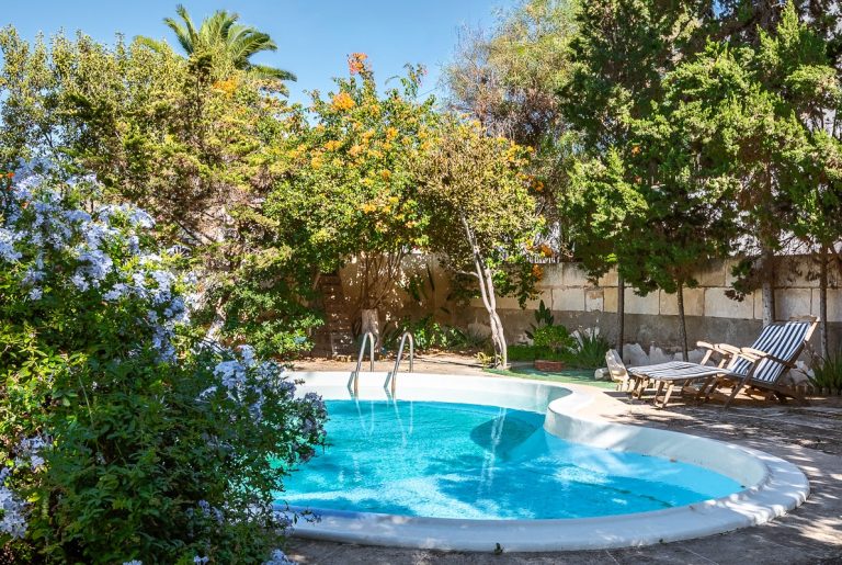 WhatsApp Image 2025-11-08 at 08.54.12