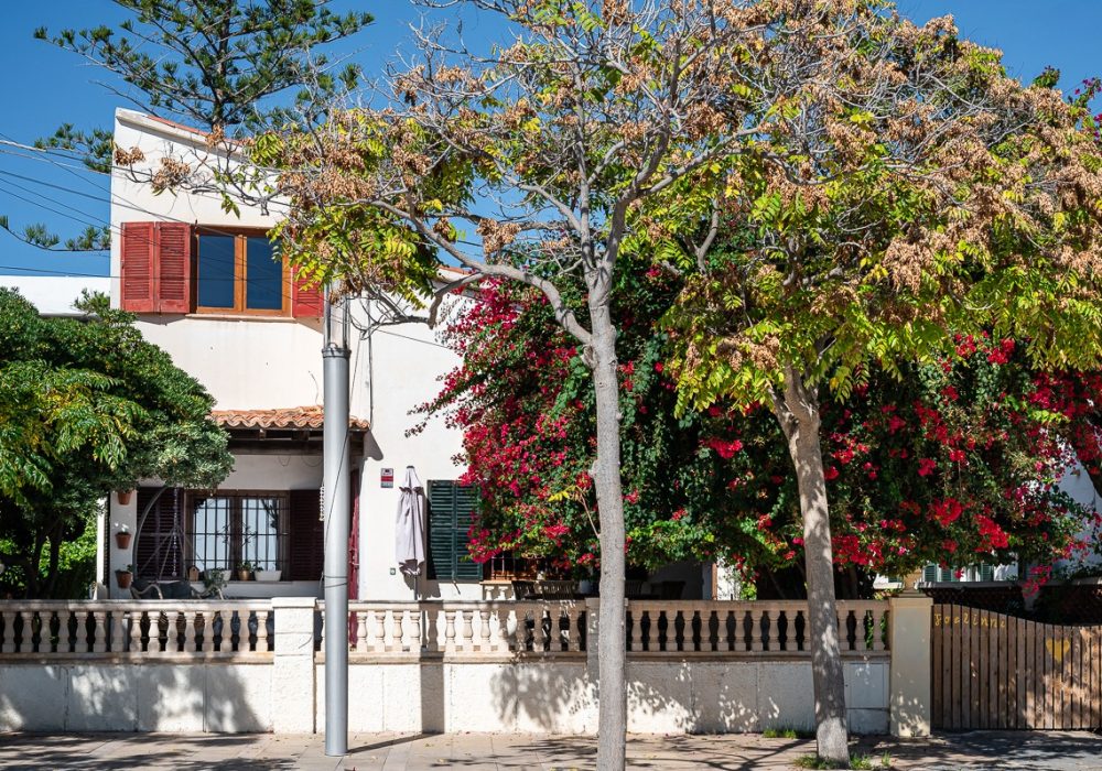 WhatsApp Image 2025-11-08 at 08.56.13