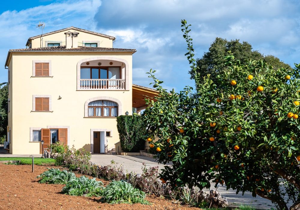 WhatsApp Image 2025-11-08 at 19.36.47 (2)